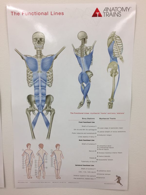 Anatomy Trains – KELPOKEHO